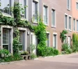 Gemeente Groningen groene gevel geveltuinen