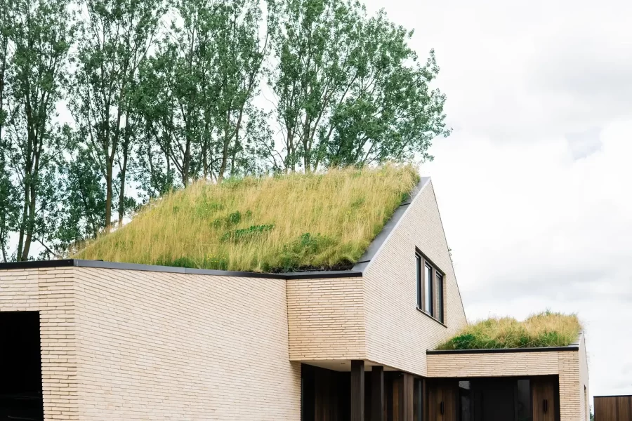 Nieuwbouw groen dak klimaatadaptie toekomstbestendig bouwen Groningen