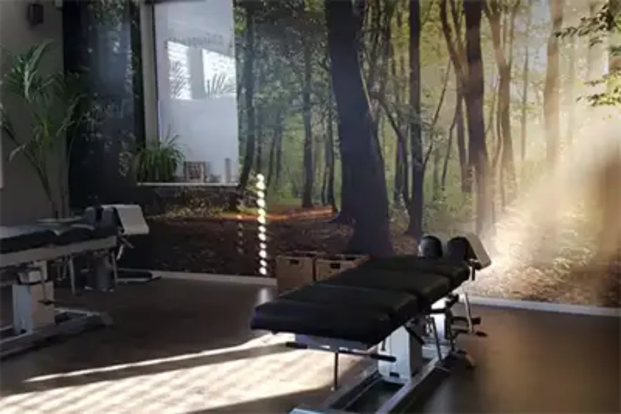 Chiropractorpraktijk Optimal Health Assen