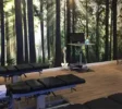 Chiropractorpraktijk Optimal Health Groningen